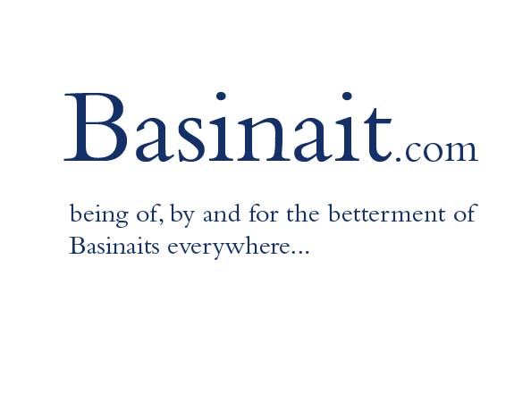 basinait.com